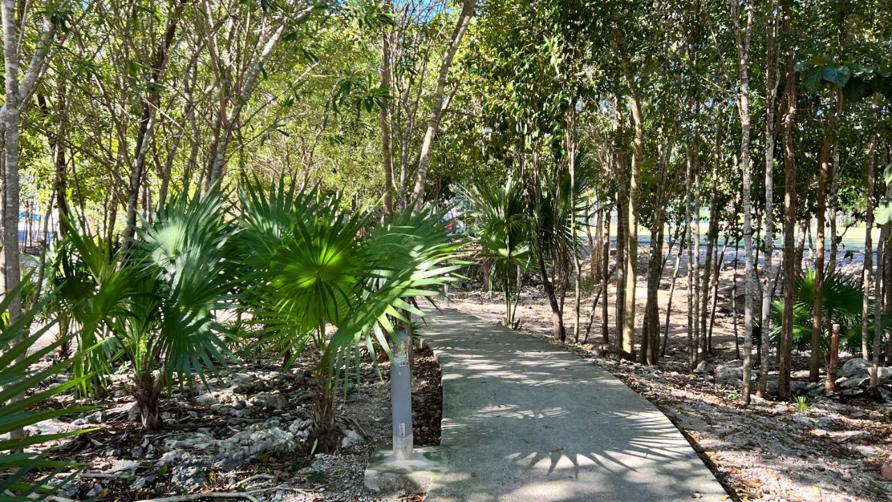 Kingulingu'S Cancun Apartament Dış mekan fotoğraf